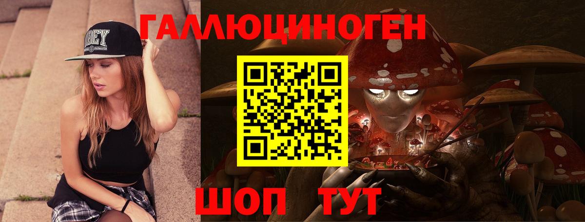 Псилоцибиновые грибы Cubensis Анапа
