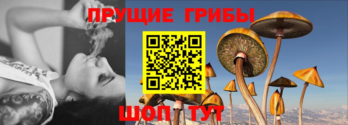 Анапа  Псилоцибиновые грибы Psilocybe  Вход с VPN 